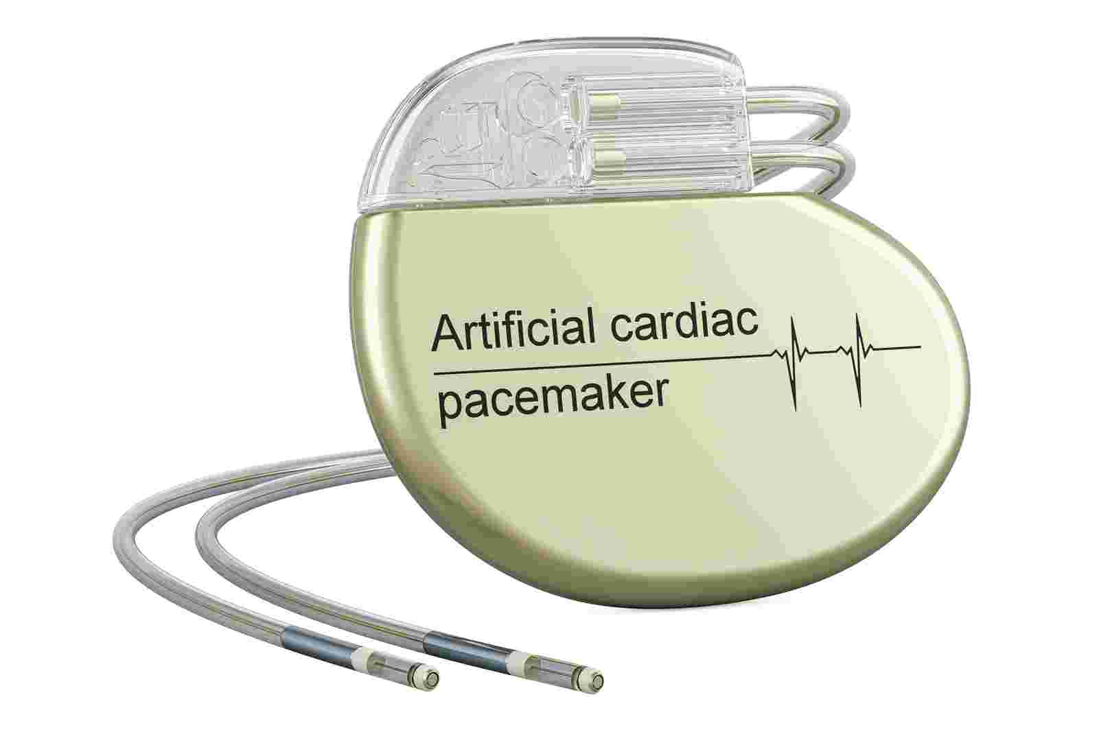 Fig 1. Veterinary Pacemaker-1