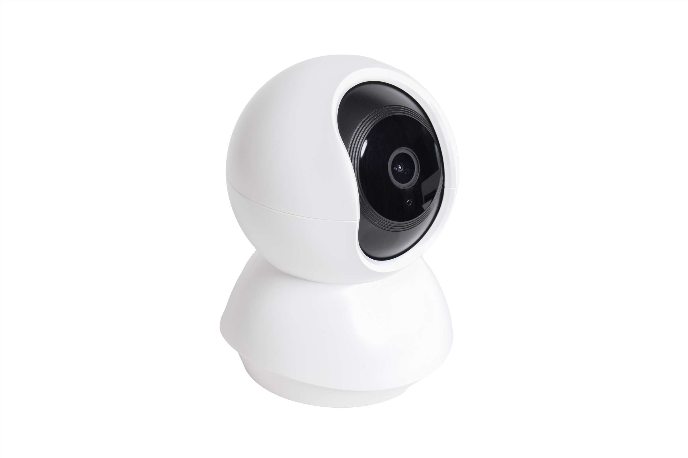 Fig 10. Pet Camera